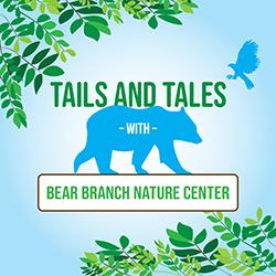 Blue silhouette of a walking bear surrounded by green foliage