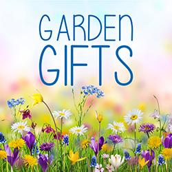 Assorted colorful wildflowers with a light blurry sky behind.