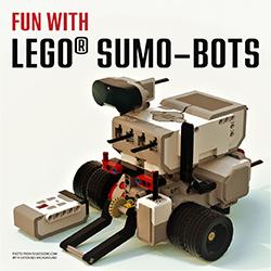 photo of Flipper sumo-bot