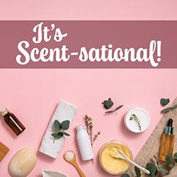 An assortment of supplies used for making body scrubs on a pink background.