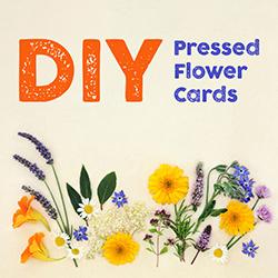 Pressed flowers arranged under text reading "DIY Pressed Flower Cards."