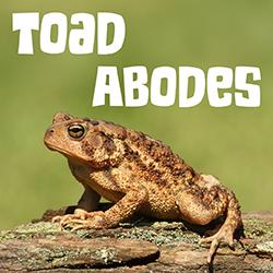 An American toad sittting on a log below the text "Toad Abodes."